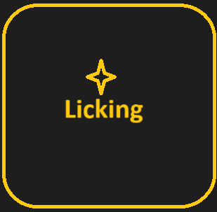 licking